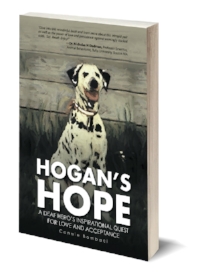 Hogans Hope 3D_thin500.jpg